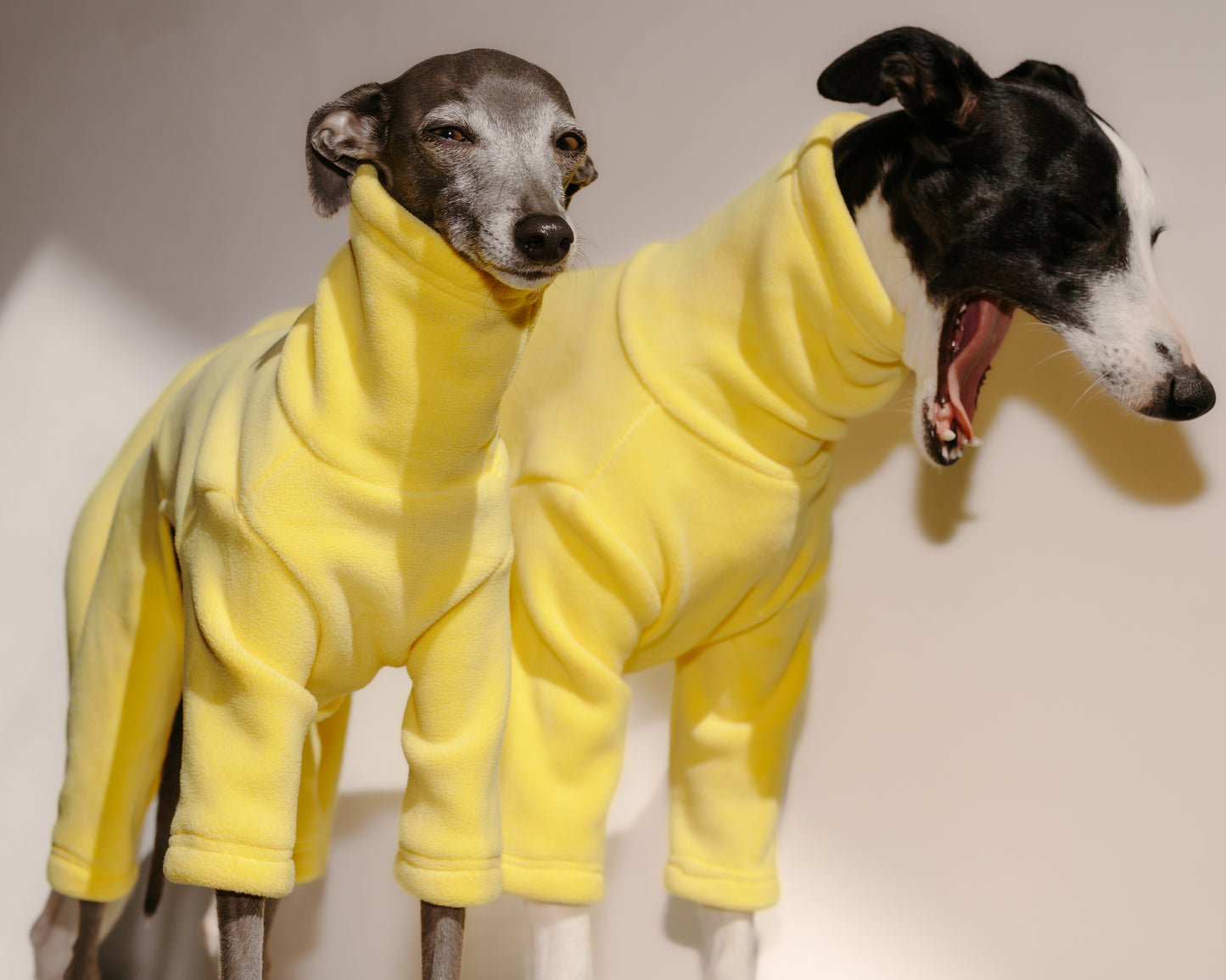 Italian Greyhound & Whippet Fleece Limoncello