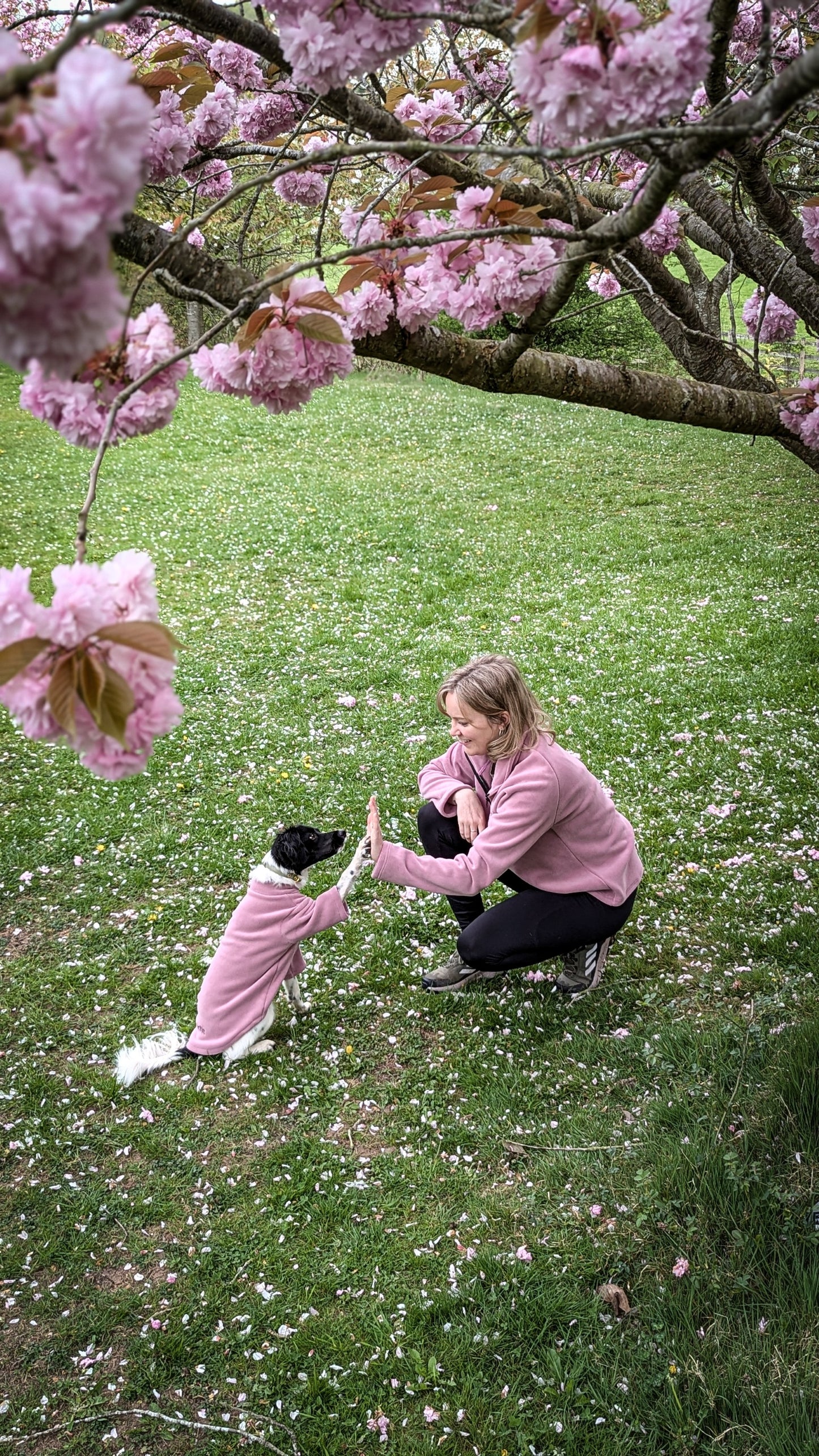 2 Leg Dog Fleece Hibiscus