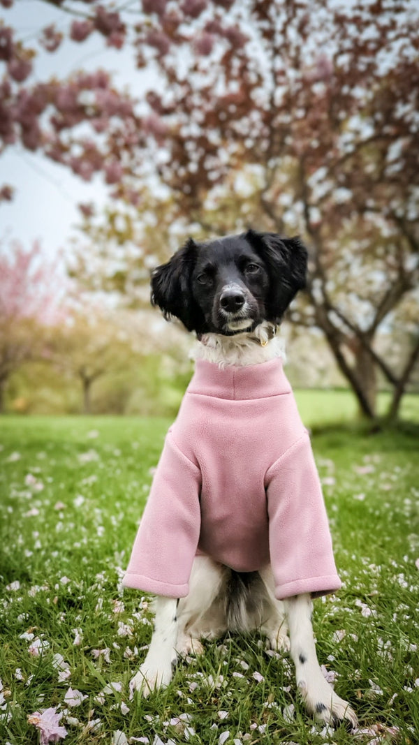 2 Leg Dog Fleece Hibiscus